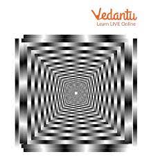 optical illusions learn definition