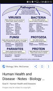 L Want A Chart On Infectious Bacteria And The Disease Caused