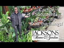 jacksons home garden dallas texas