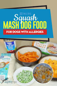 dog food for allergic dogs recipe