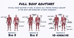 full body vs split routineuni