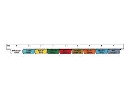 Omnimed 220913 9 Tab Preprinted Poly Chart Dividers With Top Open Newegg Com