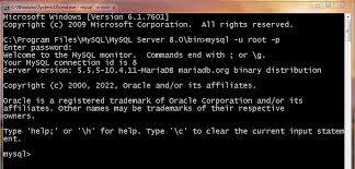 execute sql statements from command prompt