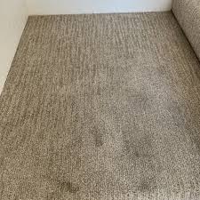 ezee carpet floor cleaning 17