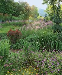 how to design a stylized meadow garden