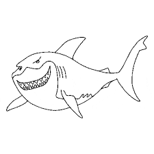 1024x740 coloring pages of bull sharks printable coloring great white shark. Great White Shark Coloring Page Animals Town Animals Color Sheet Great White Shark Free Printable Coloring Pages Animals