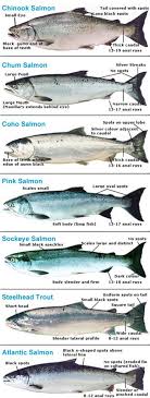 Pacific Salmon Identification Information
