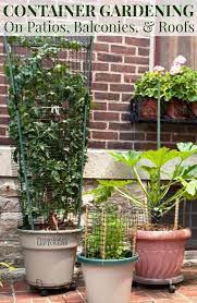 Container Gardening In Small Spaces