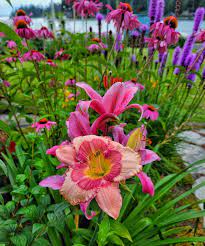 Pnw Cottage And Cut Flower Garden Tour