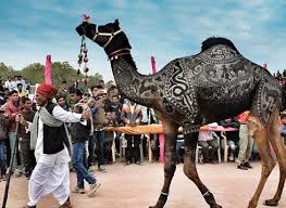 Introduction to the question which of these is an annual fair in rajasthan, known for its camel trading event?. Camel Festival