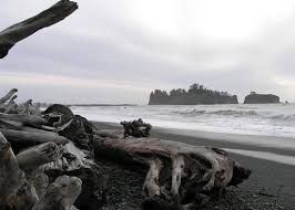 Go At Low Tide Review Of Rialto Beach Olympic National