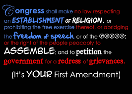 One of the five freedoms it guarantees is the right of the people to petition the government for change.voting is the ultimate expression of petition — the ballot a citizen casts can support an incumbent or cause or vote for change and defeat them. First Amendment Rights Illinois Library Association