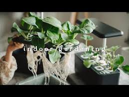 41 Growing Vegetables Indoors Without