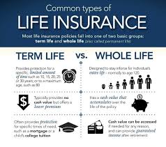 Permanent life insurance cash value. Term Life Insurance Vs Permanent Life Insurance Which Life Insurance Is Best For You Whe Whole Life Insurance Life And Health Insurance Insurance Infographic