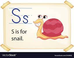 snail royalty free vector image