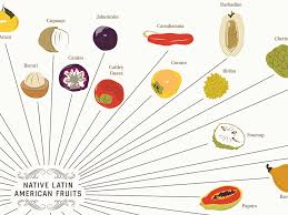 Pop Chart Lab The Various Varieties Of Fruits