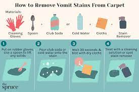 remove vomit stains from carpet cleaning