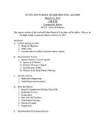 Annual Corporate Meeting Minutes Template Corporation S