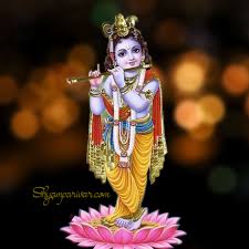 lord krishna photos images with
