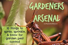 Here's how to use organic pest control to keep you and your family safe, while keeping any unwanted pests away! The Gardener S Arsenal 10 Things To Spray Sprinkle Brew For Garden Pest Control