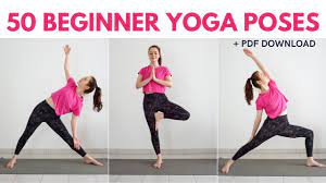 50 must know beginner yoga poses yoga