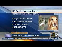 This decision is between you and your veterinarian. 5 Rabies Vaccine Info Animal Hospital In Phoenix Veterinarian