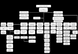 Organization Chart Metronco