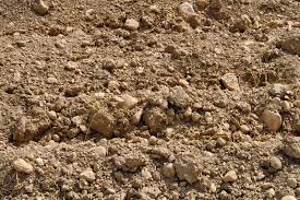 How To Amend Clay Soils Black Gold