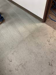 commercial carpet cleaning pro line