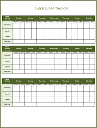 Blood Sugar Template Jasonkellyphoto Co