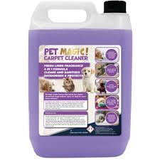 pet dog carpet cleaning shoo on on