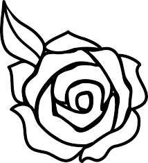 white rose flower clipart black