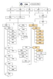 Cia Organizational Chart Partly Re Constructed Things That