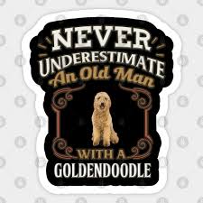 goldendoodle sticker