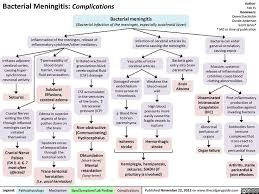Meningitis and Encephalitis  Causes  Symptoms   Treatment   Video     SlideShare Meningitis Case Study