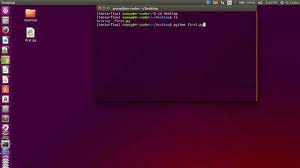 run python program using terminal