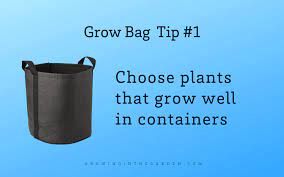 Gardening In Grow Bags 5 Tips For