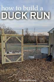 See more ideas about duck house, chickens backyard, duck. Diy Duck Run How To Build A Predator Proof Space For Your Ducks Or Chickens Backyard Ducks Duck House Diy Duck Coop