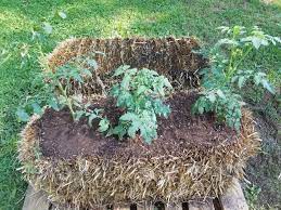 straw bale gardening is not permaculture