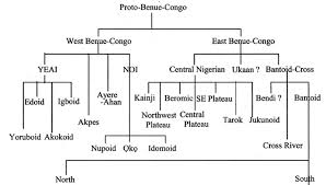 Igbo Language Roots And Pre History A Mighty Tree