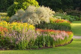 plant a pretty border rhs gardening
