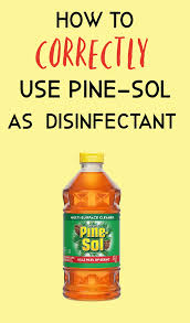 is pine sol a disinfectant and how to
