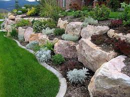 Rock Wall With Plants Rock Garden