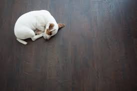 pet friendly flooring options pros and