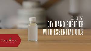 how to make diy hand purifier young
