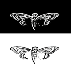 Cicada 3301 has been described as the most baffling and enigmatic mystery on the internet and was listed as one of the top 5 eeriest, unsolved mysteries of the internet by washington post. Origin Of Cicada 3301 Logo Uncovering Cicada Wiki Fandom
