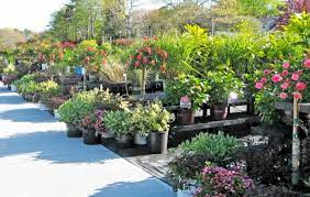 Plant Nursery Orange County Ny