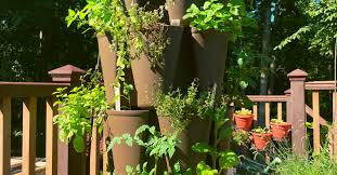 Small Space Gardening Grow More With A