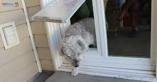 Best Dog Door For Sliding Glass Doors