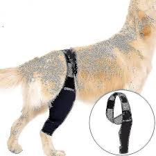 dog knee brace for acl knee cap